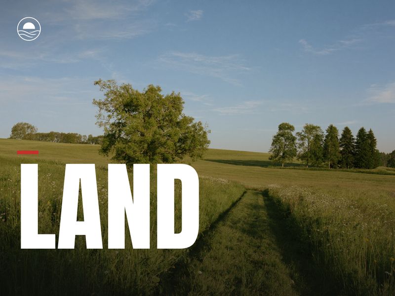 LAND: a mown path into a green summer field with a shade tree
